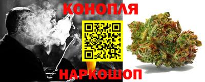 альфа пвп Новодвинск