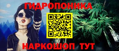 альфа пвп Новодвинск