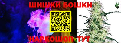 альфа пвп Новодвинск