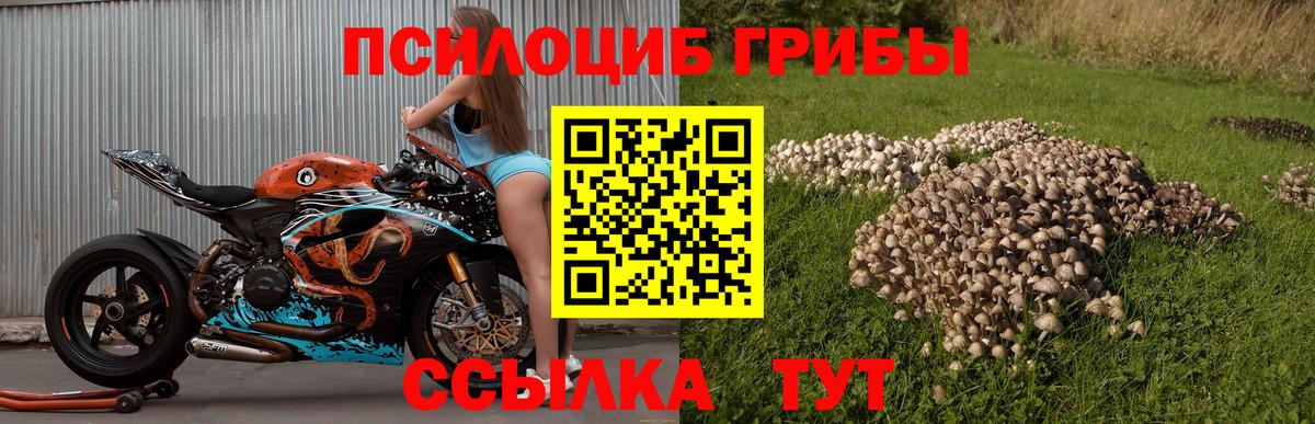 Псилоцибиновые грибы Psilocybine cubensis  Вход с VPN  Псилоцибиновые грибы ЛСД  Улан-Удэ 